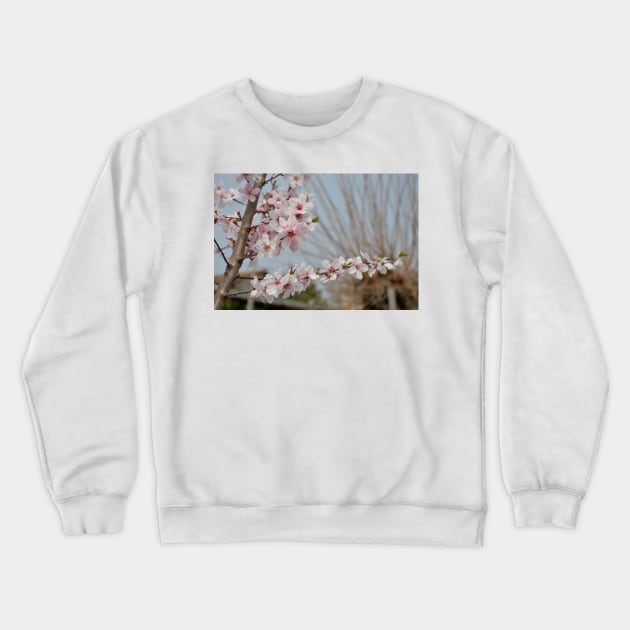 Almond Blossom Crewneck Sweatshirt by jojobob